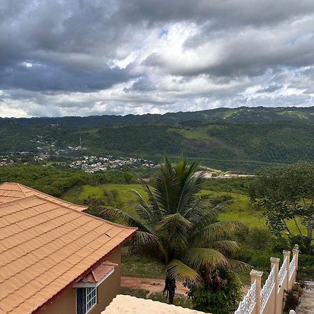 Lion'S View Bed & Breakfast แมนเดอวิลล์ ภายนอก รูปภาพ