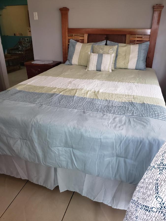 Lion'S View Bed & Breakfast แมนเดอวิลล์ ภายนอก รูปภาพ