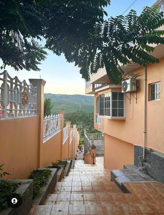 Lion'S View Bed & Breakfast แมนเดอวิลล์ ภายนอก รูปภาพ