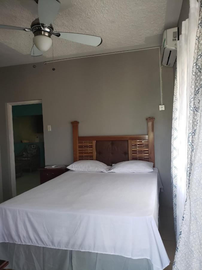 Lion'S View Bed & Breakfast แมนเดอวิลล์ ภายนอก รูปภาพ