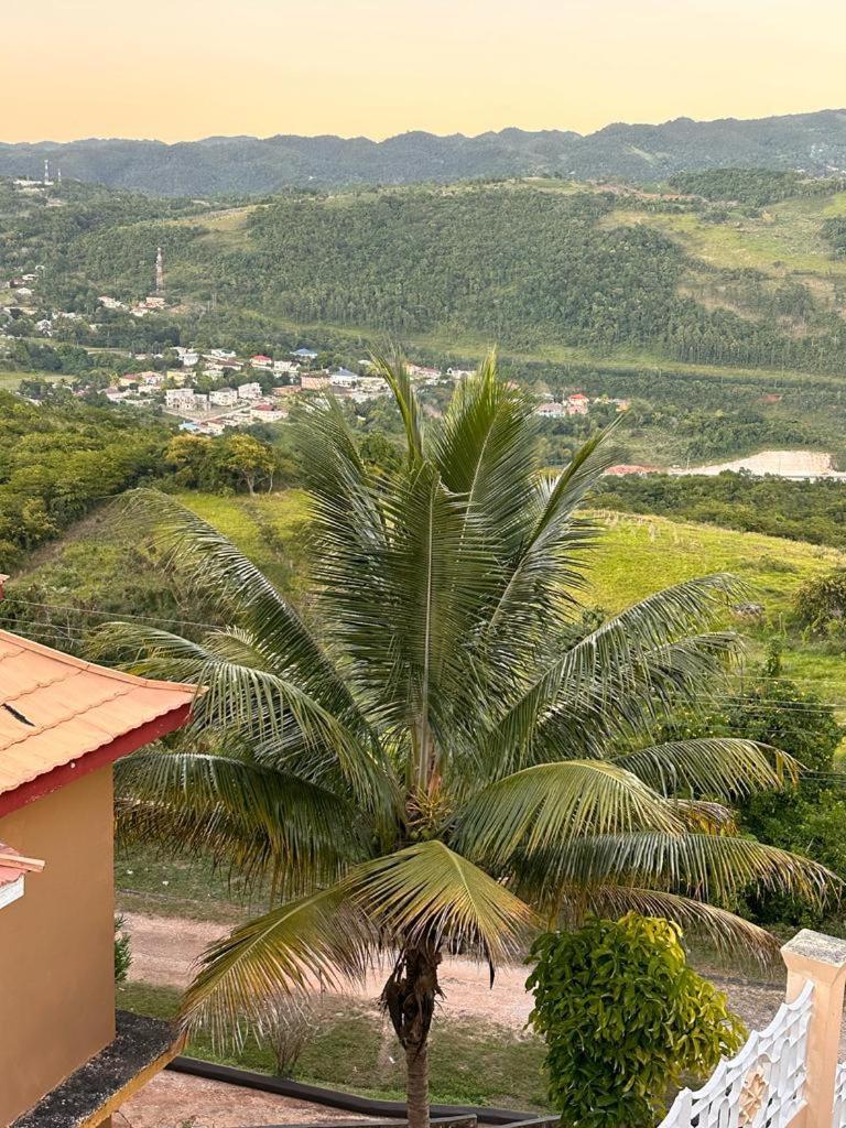 Lion'S View Bed & Breakfast แมนเดอวิลล์ ภายนอก รูปภาพ